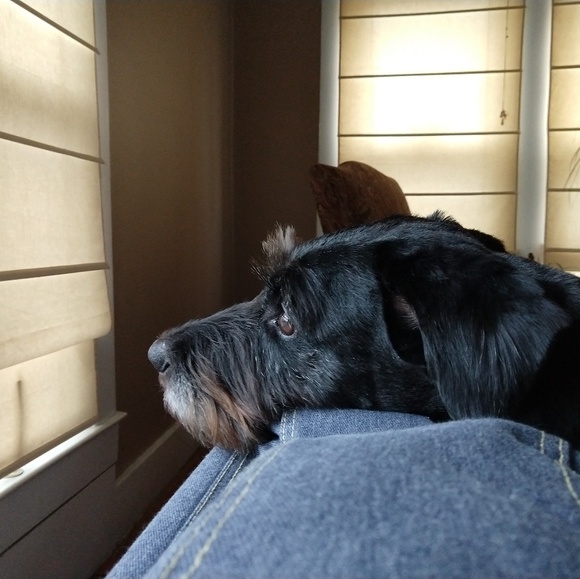 Name Brand luxury items from my Nordstrom habit - Picture 1 of 1